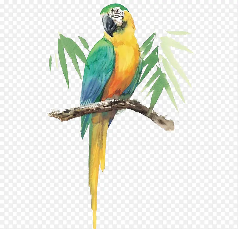 ��֦�ϵ�����-������