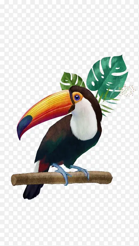 ��֦�ϵ�����-������