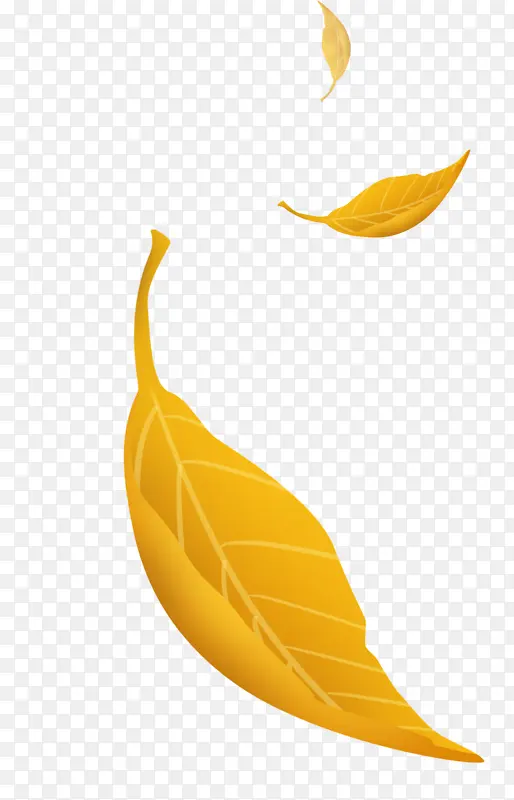 ��ͨ��ɫ�����Ҷ��Ҷ-������