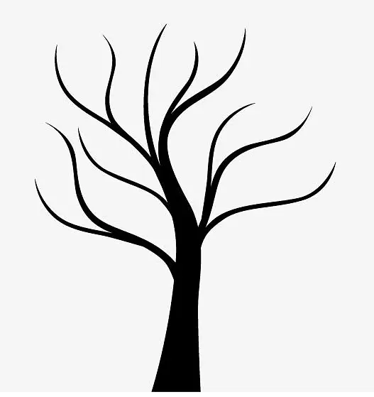 ��������ز�-������