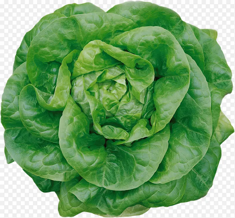 ��� �߲� ����-������