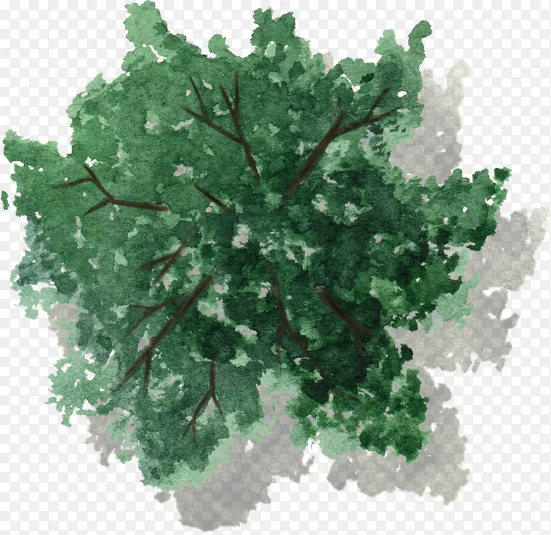 ��ɫ��֦����ˮ�ʷ��ֻ��ͶӰ-������