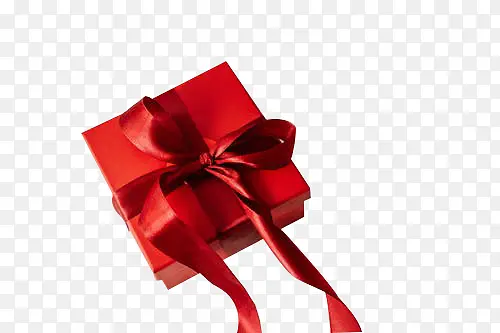 ��ɫʥ�����������-������