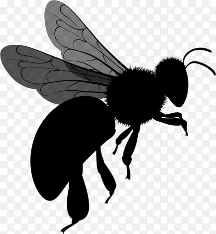 �۷��ɫ��Ӱ-������