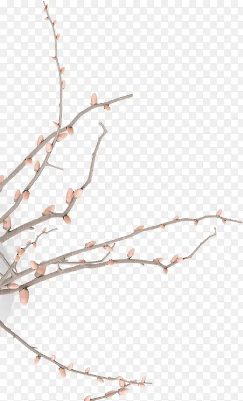 С������֦����-������