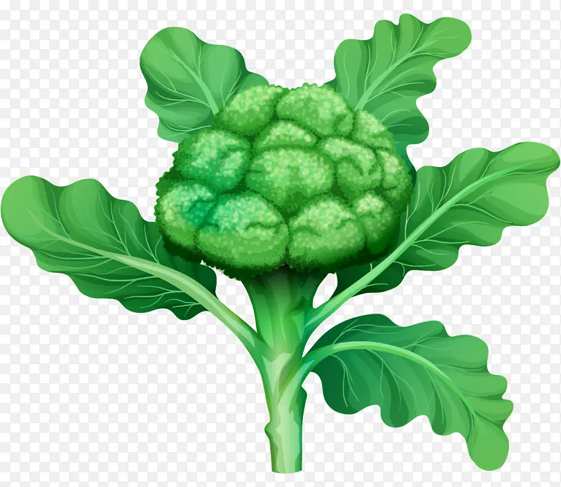 ��� ������ �߲�-������