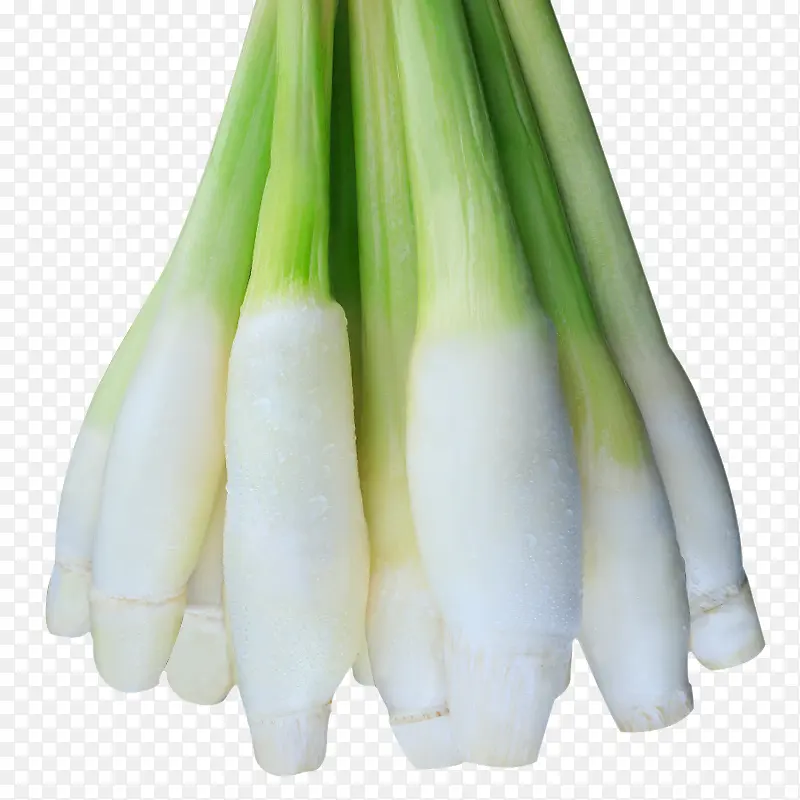 ȥƤ�����߲�-������