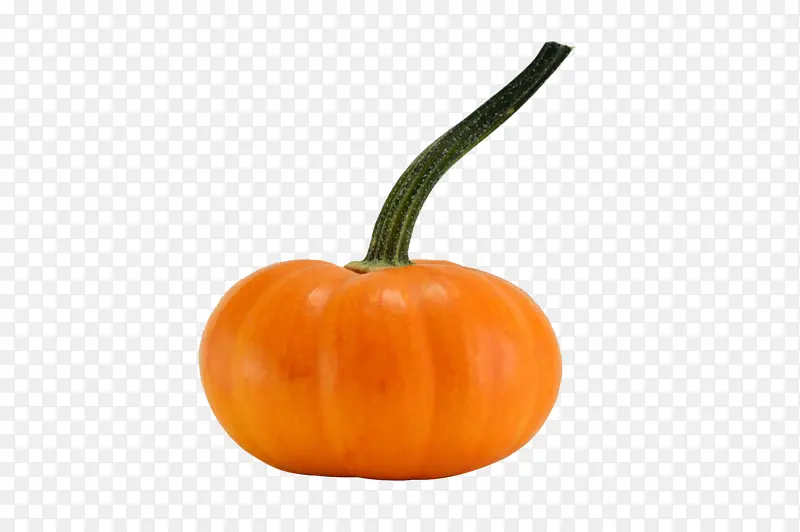 �����߲��Ϲ�С�Ϲ�-������