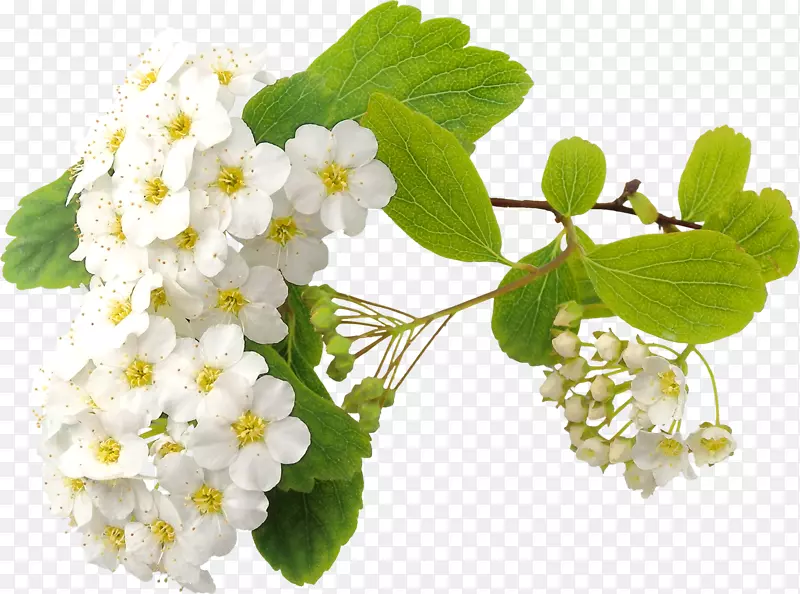 �������-׶-������