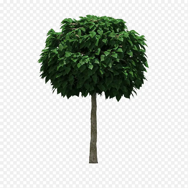 ����װ�����ɫ��-������