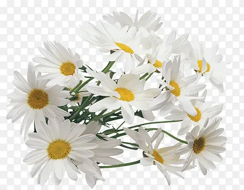 ��ɫ����Ԫ��-������