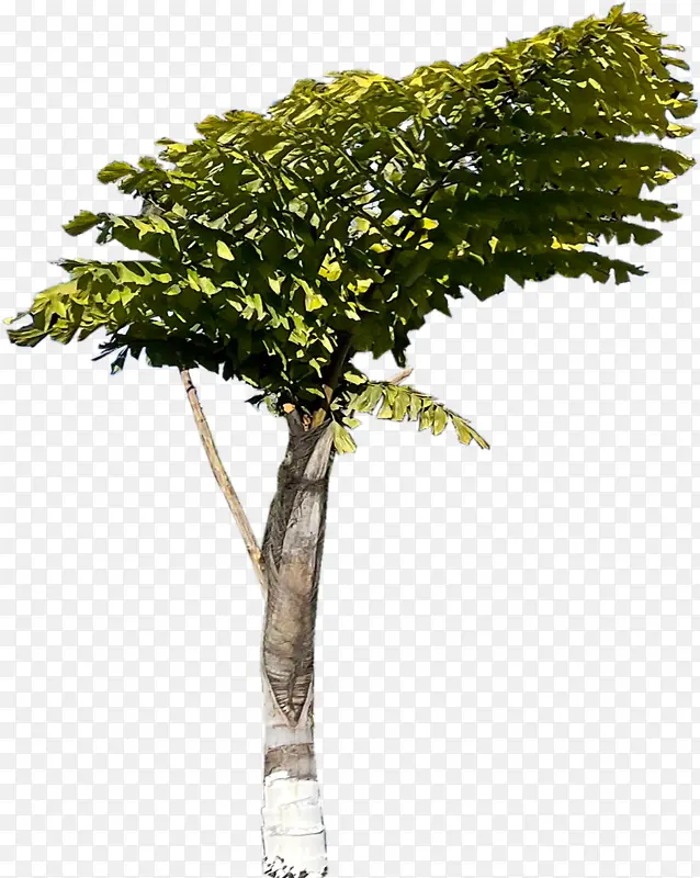 ������������-������