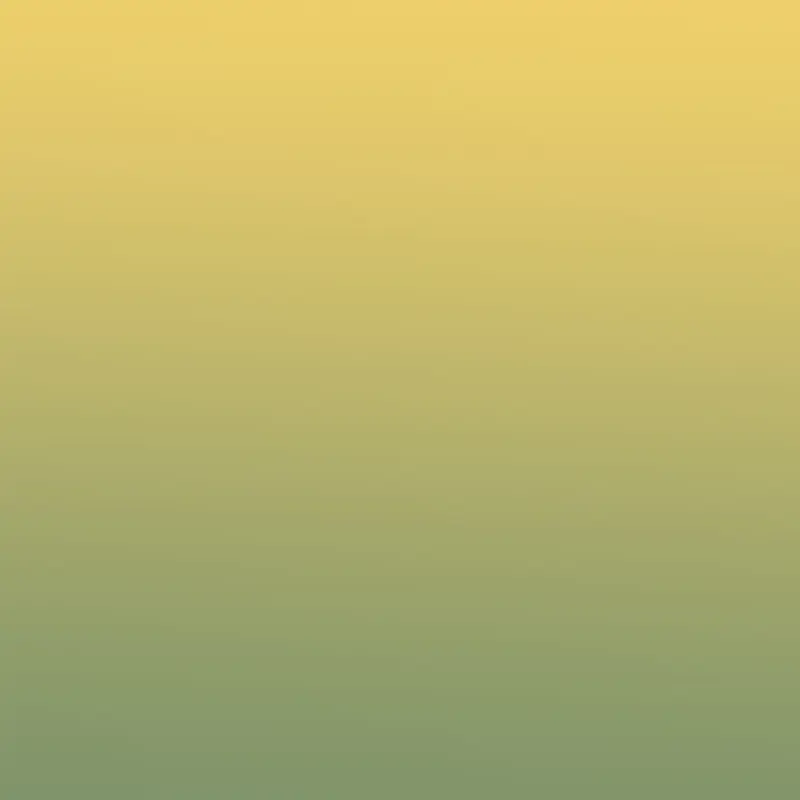 ��Ұ����ɫ�����£���ƽ��-������