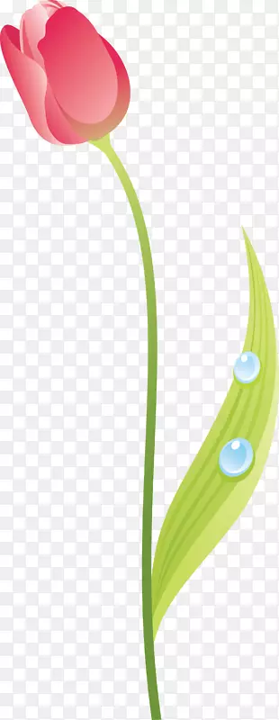 ����ֲ��������ٺϿ�������-������