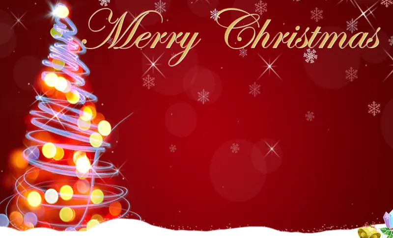 ʥ���� ϲ�� ʥ����   ��ɫ-������