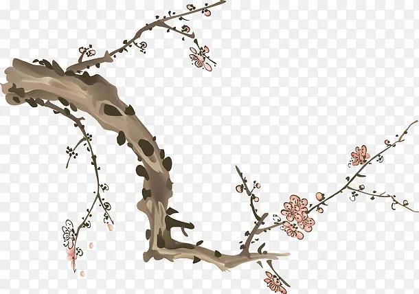 ��ɫ����÷����֦-������