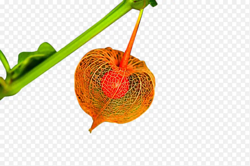 ˮ����������-������