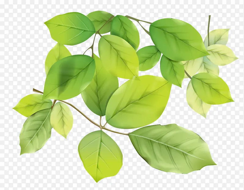 �ֻ���ѿ��֦͸�����ز�-������