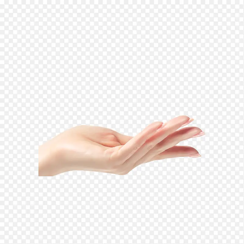 �������Ŷ���-������