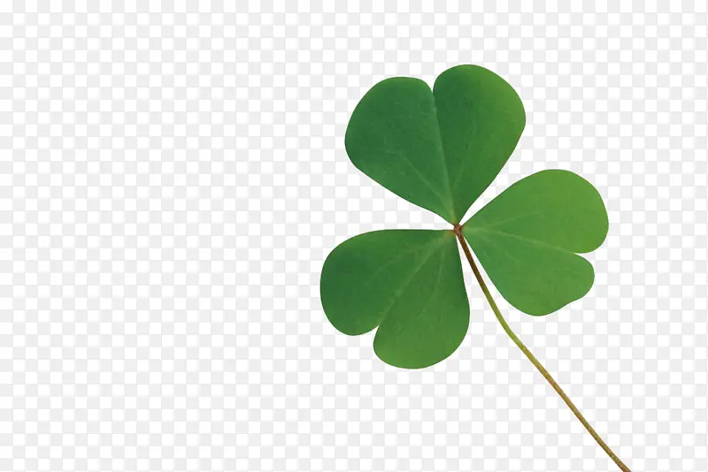 ��Ҷ���˲�Ҷ��-������