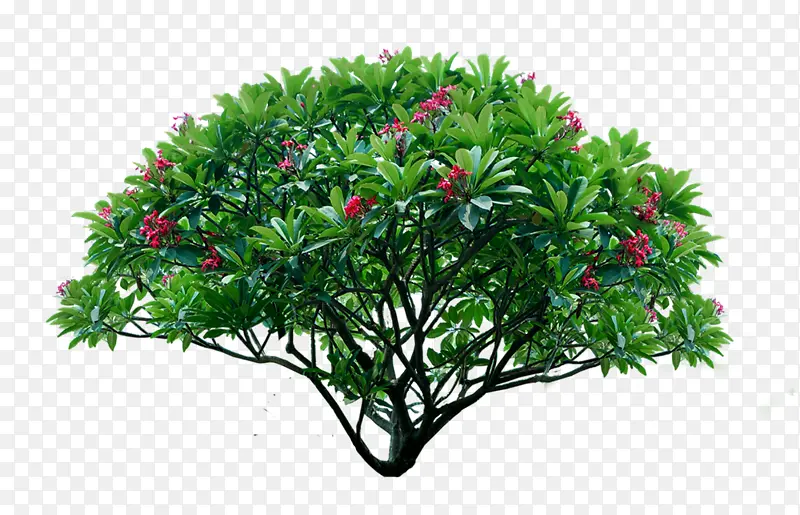 ������������������ֲ��-������