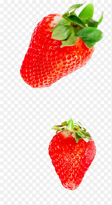 ά���� ˮ�� ��ݮ ��-������