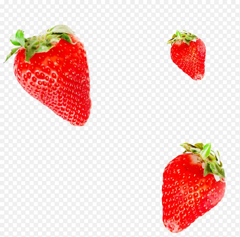 ά���� ˮ�� ��ݮ ��-������