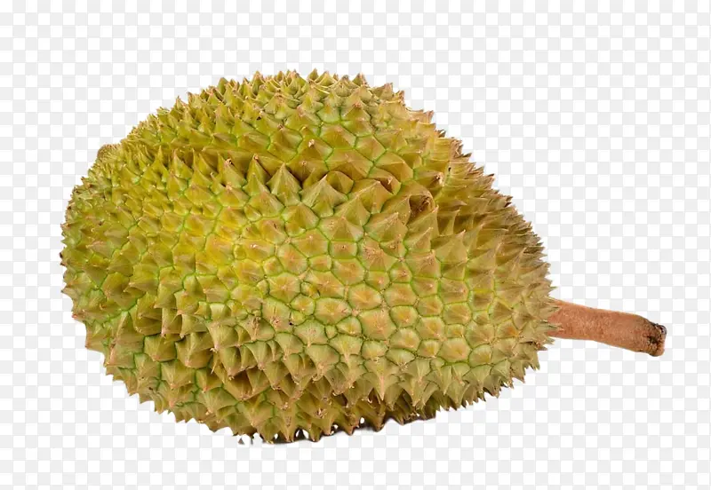 ������ɫˮ��-������