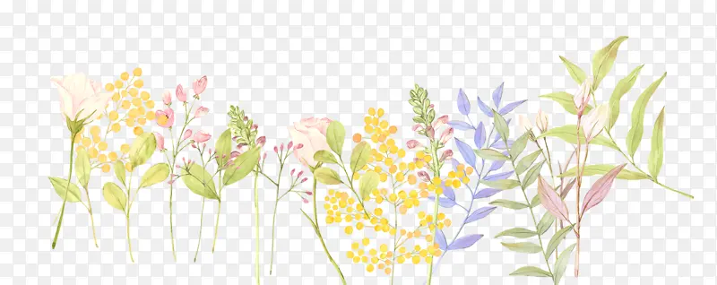 С���»����ز�-������