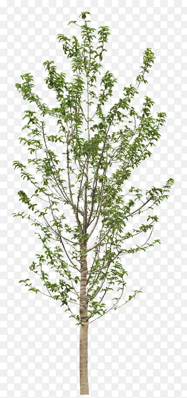 ������ƾ�����-������