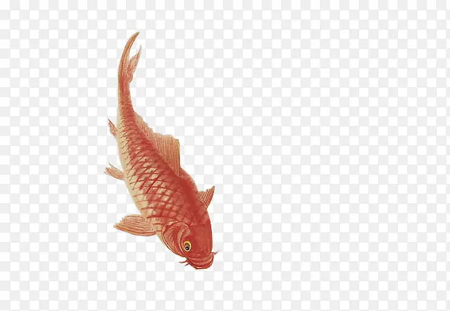 ��ˮ��ˮī������-������