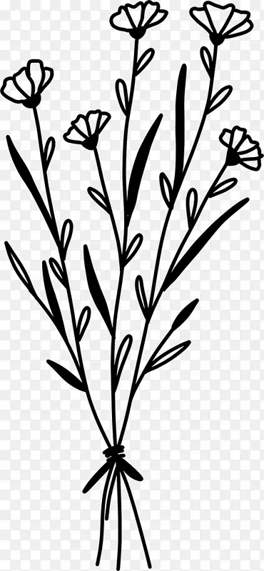 �ز� ֲ�� ƽ�� ����ز�-������