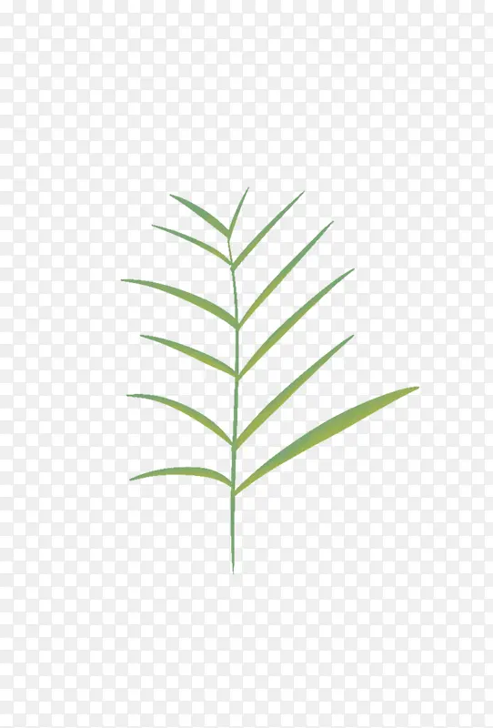 Ҷ�ӷ��ƵĲ�-������