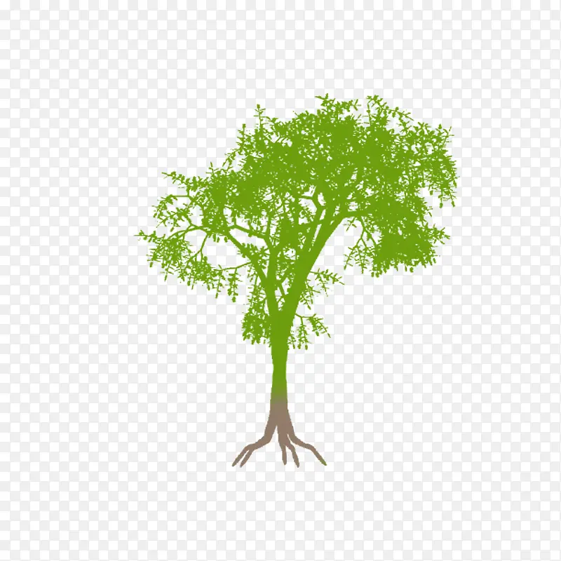 ��ֲ��-������