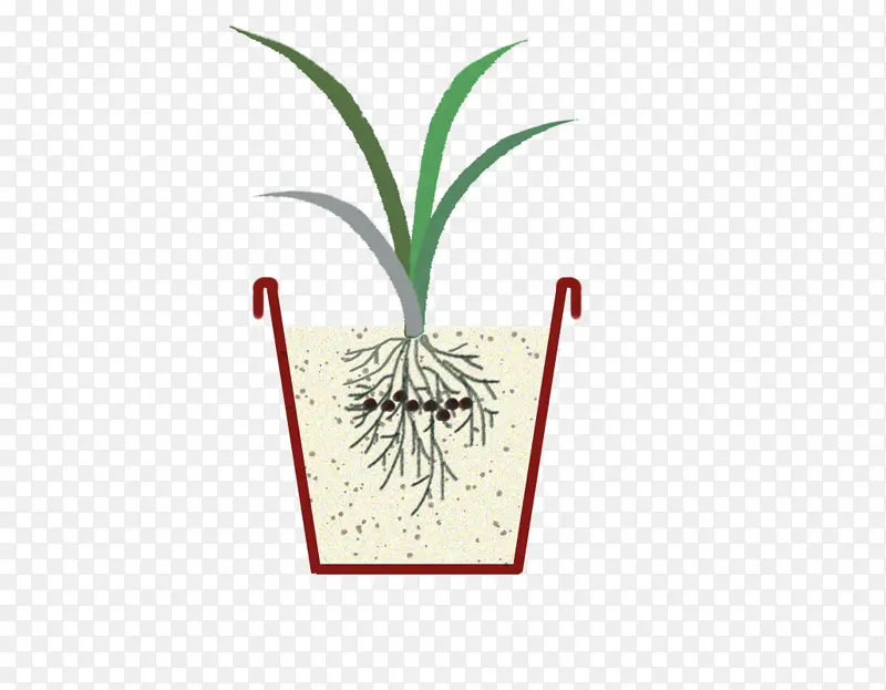 ���� ��� ��ֲ ��-������