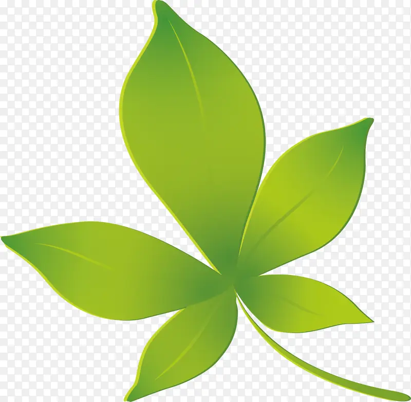 Ҷ������װ��Ʒ-������