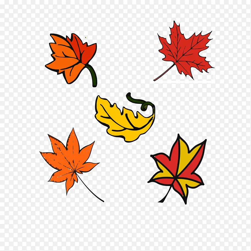 ��Ҷ��ͨ�ֻ�͸��-������