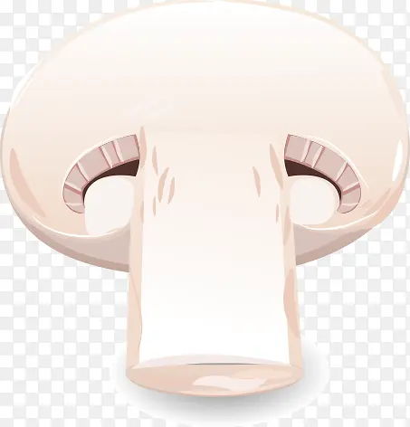 ��ͨ�߲�-�п����㹽-������