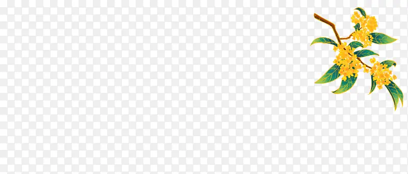 ����װ��Ԫ����֦�ֻ滨���-������