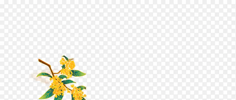 �ֻ滨�仨��װ��Ԫ����֦��-������