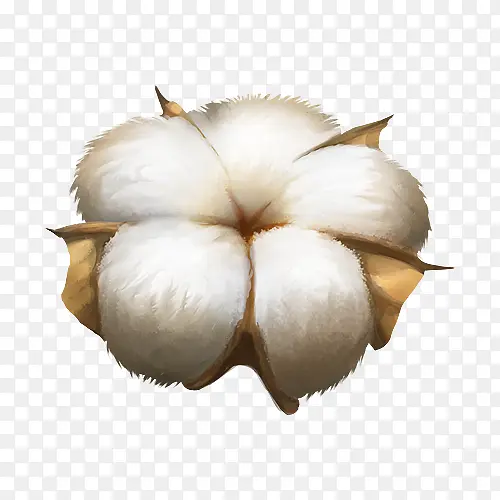 �޻� �ֻ� ���� �廭-������