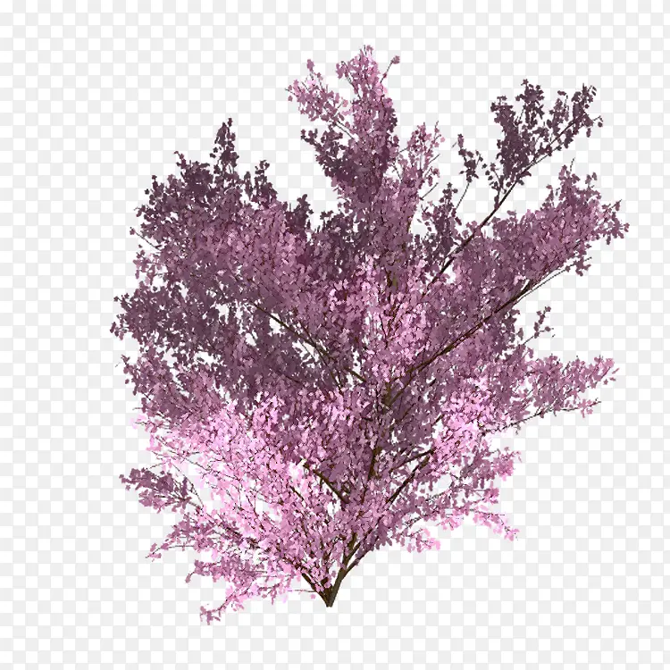 ӣ���� �� �ֺ�ɫ ����-������