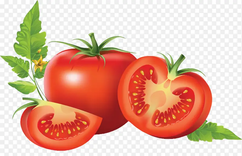 ʸ������������-������