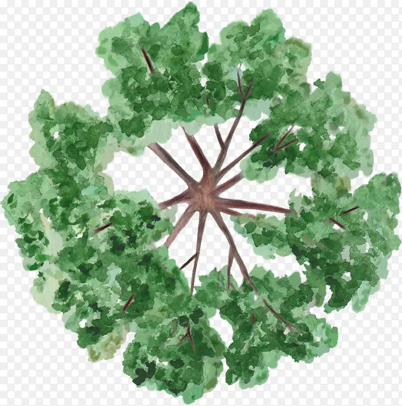 ��ɫ��֦֦Ѿˮ�ʷ��ֻ�-������