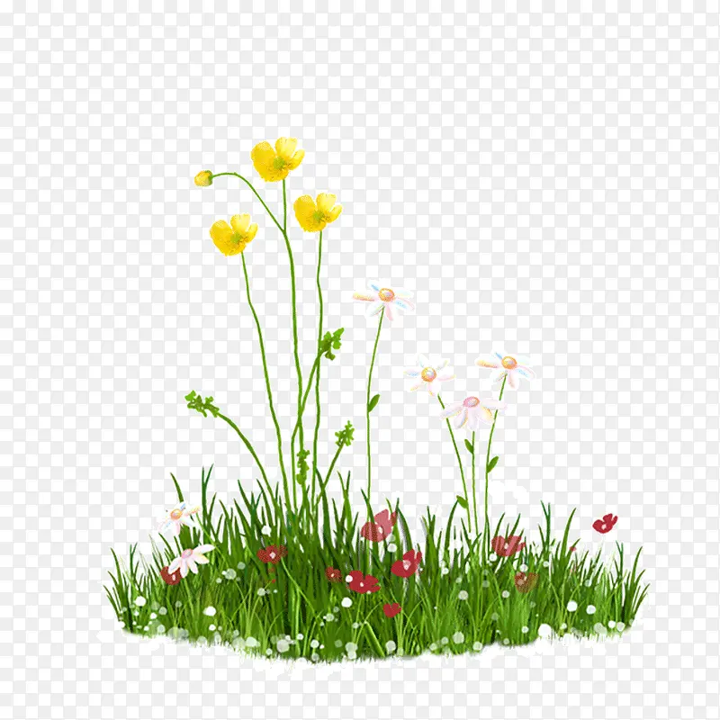 ����  �� ��ֲ С�� �ƻ�-������