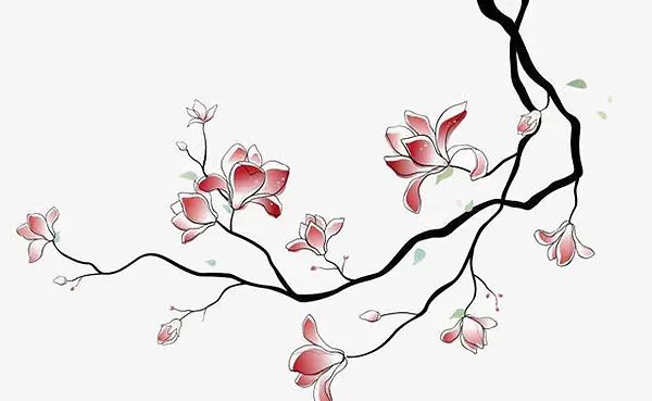 һ֧÷��ʸ��-������