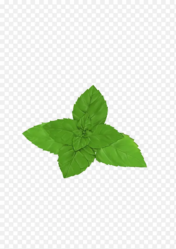 �ֻ� �廭����-������