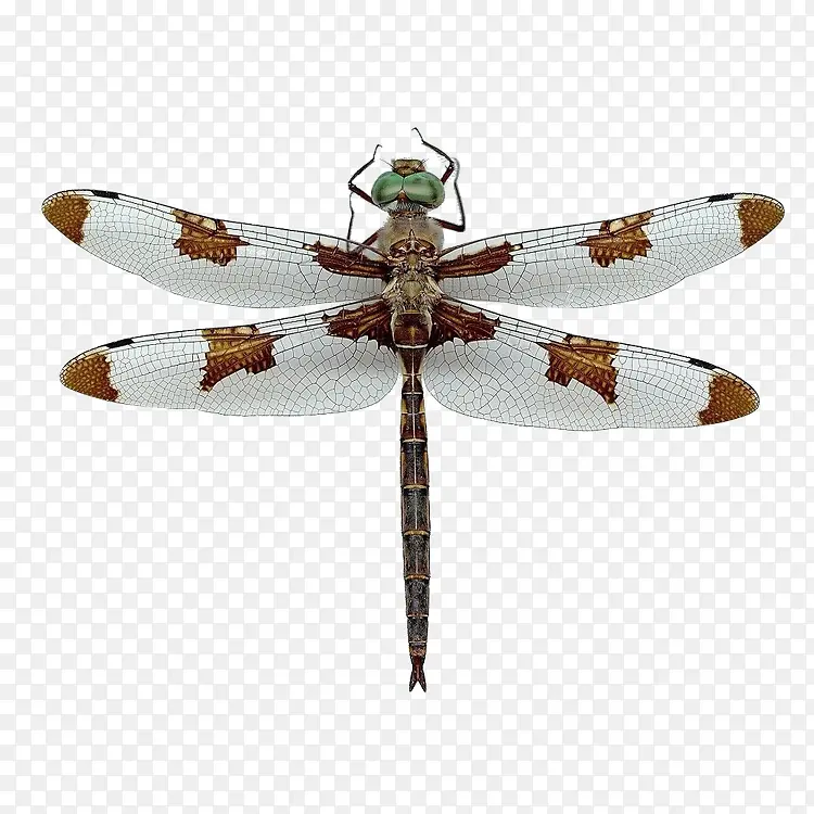 �������涯�����-������