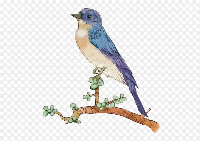 ��ɫ С�� ��֦ װ��-������