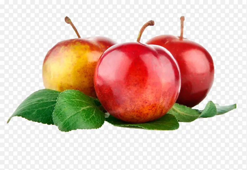 ˮ��Ԫ�� ֲ��Ԫ�� ����ˮ�� ����29-������